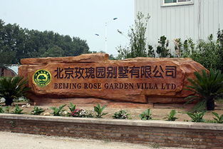 假山專業(yè)報價與優(yōu)質(zhì)供應(yīng)商選擇指南